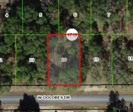 Citrus Springs Buildable Homesite