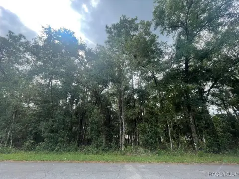Residential Land in Inverness, Florida