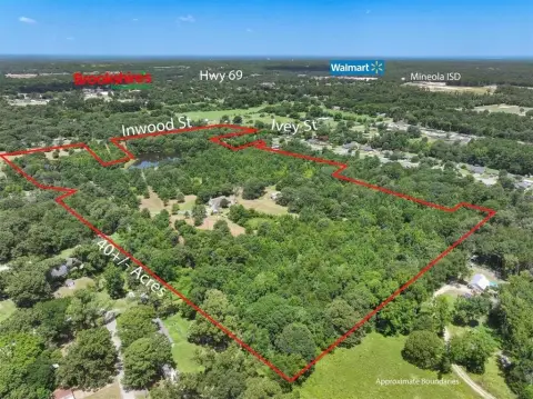 Mineola Land with Development Potential