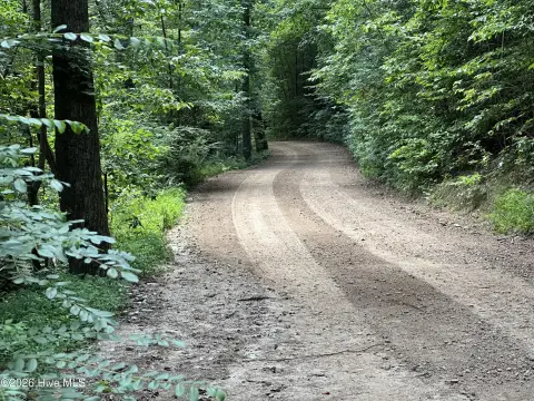 Expansive Brushy Mountains Recreational Land