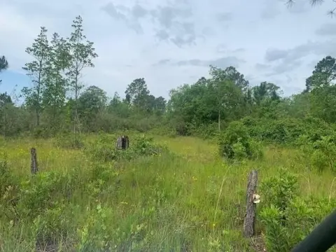 5+ Acre Hunting Land