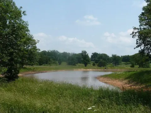 West Plains Wooded Home Site