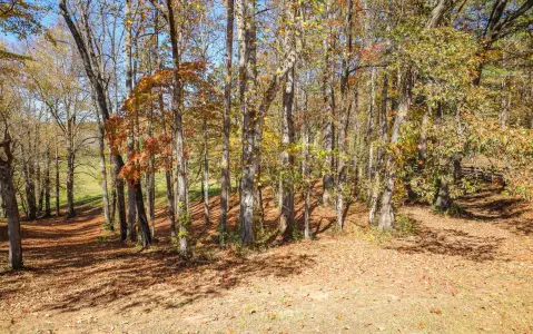 Hayesville Land with River Access