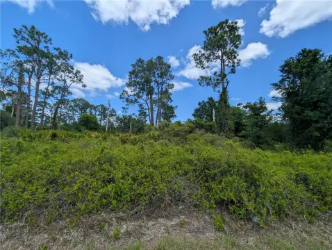 B1-Zoned Commercial Land