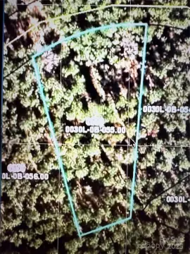 Wooded Homesite in RiverChase Estates