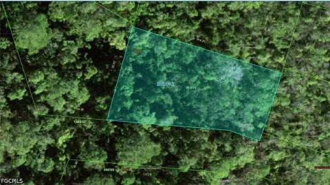 Vacant Lot in Poinciana