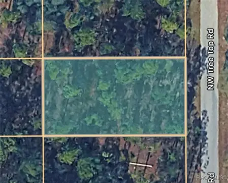 Residential Lot Near Rainbow Springs