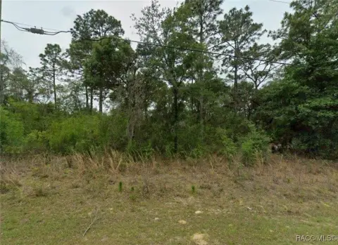 Land in Citrus Springs, Florida