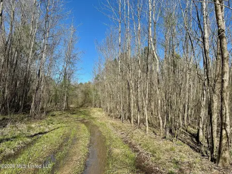 Bottomland Hardwood Hunting Tract
