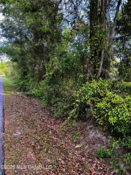 Waveland Land Near Beach