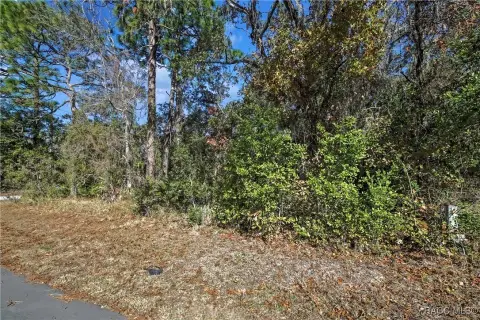 Corner Lot in Sugarmill Woods