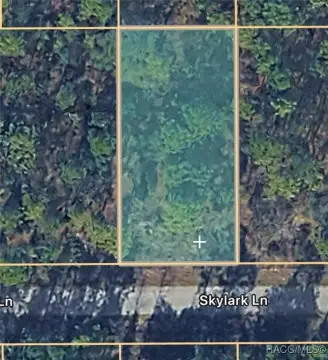 Residential Lot Near Rainbow Springs