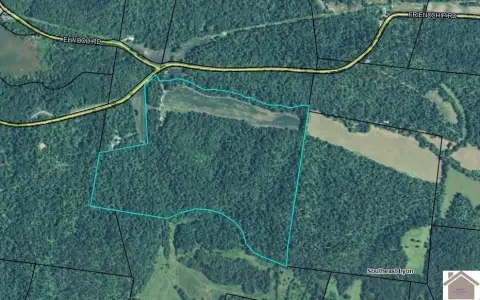 86 Acres Near Eddy Creek