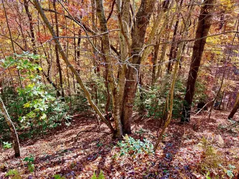 Blairsville, GA Vacant Lot