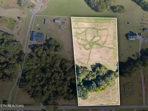 Cleared Land