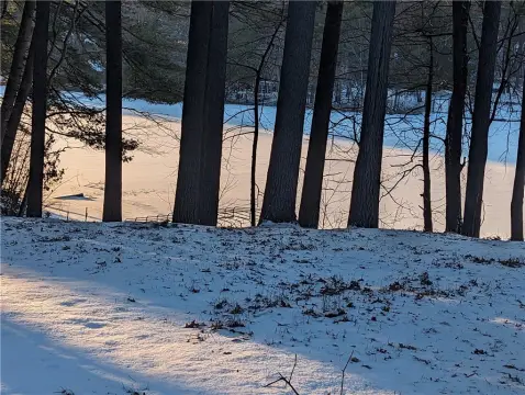 Lake Tainter Wooded Lot