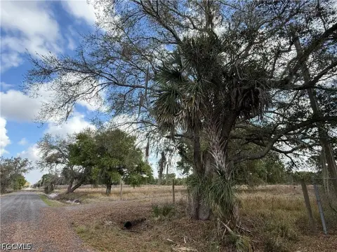 Cleared Land in Montura Ranch