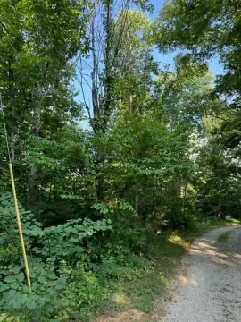 Wooded Hunting Land