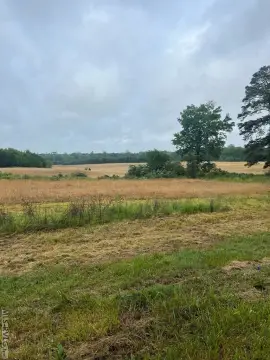 75 Acres in South Hill, VA