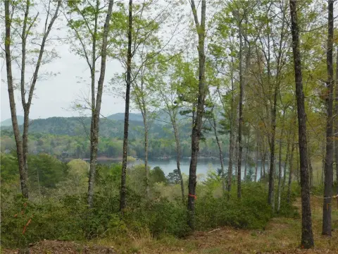 Land with Mountain and Lake Views
