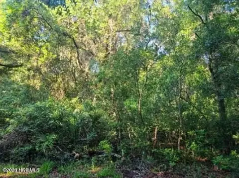 Homesite in Maritime Forest