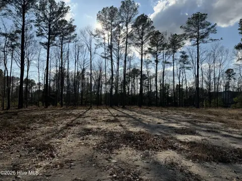 Oversized Homesite in Belmont