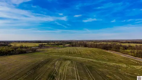 Productive Farmland Auction in Fancy Farm