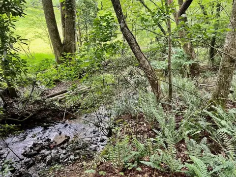 Blairsville Vacant Lot Near Creek