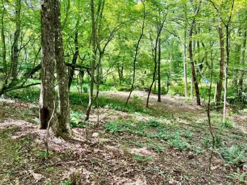 Blairsville Vacant Lot Near Nature