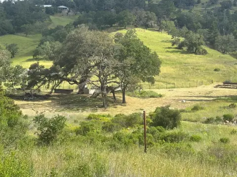 Santa Rosa Acreage: Estate or Ranch