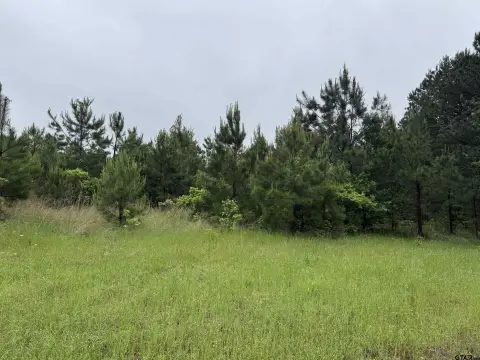 Secluded Acreage for Dream Home