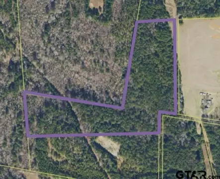 Secluded Timber Acreage in Troup