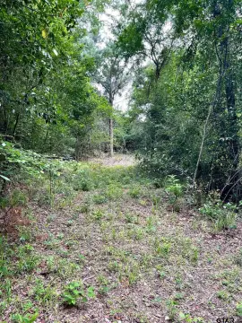 Secluded Wooded Acreage Near Tyler
