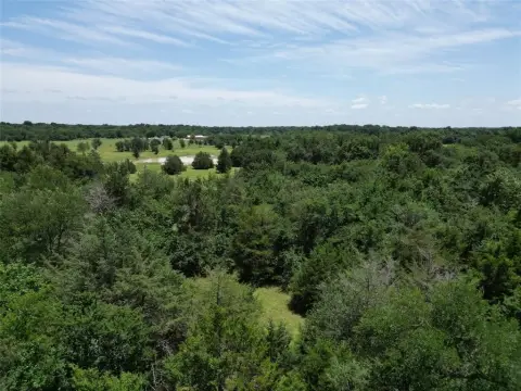 Sulphur Springs Land for Sale