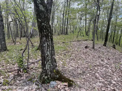Milan, NY Land Parcel