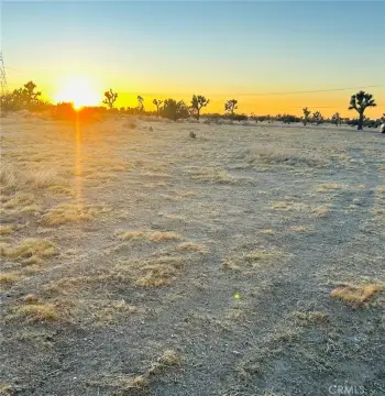 Joshua Tree Land with Panoramic Views