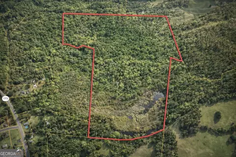 84.32 Acres in Woodbury, GA