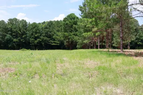 Signalized Commercial Land