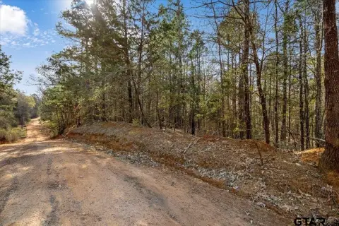 Unrestricted Land Near Future Amazon