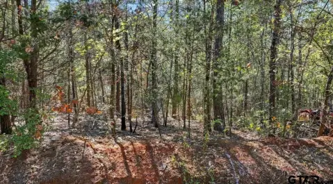 Expansive Land Parcel in Tyler