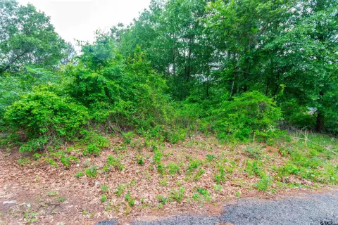 Tyler Land Opportunity