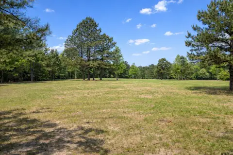 Wooded Hunting Land