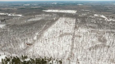 40 Acres Wooded Hunting Land