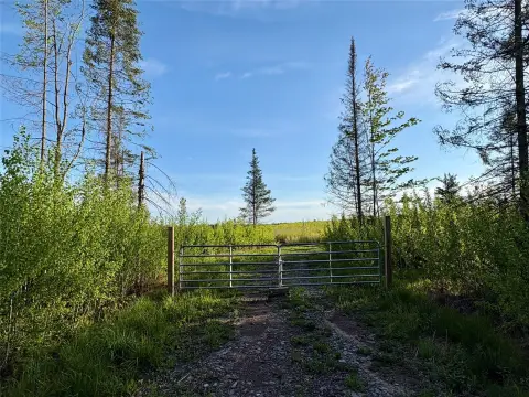 Recreational Hunting Land with Food Plot