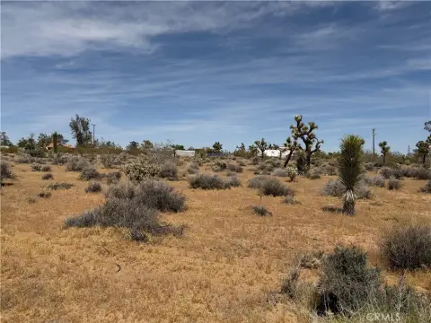 2.5 Acre Yucca Valley Parcel