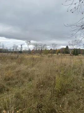 Wooded Recreational Land