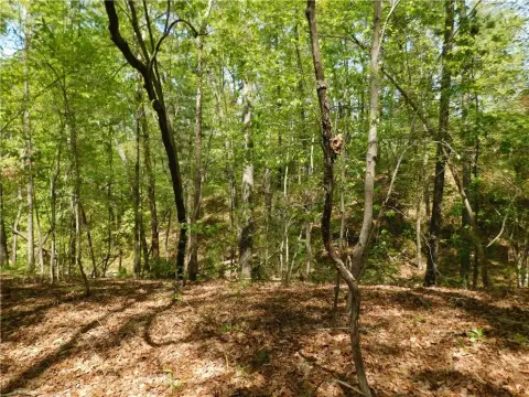Secluded Homesite in Cliffs Community