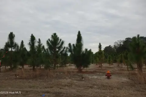 Residential Land in Fairmont, NC