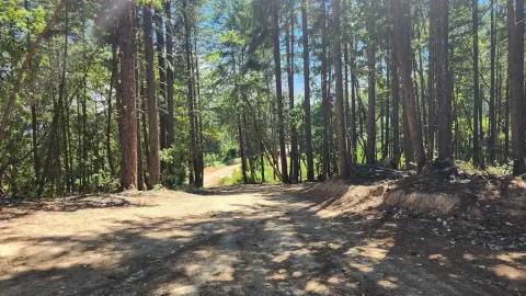 Treed Land in Merlin, Oregon