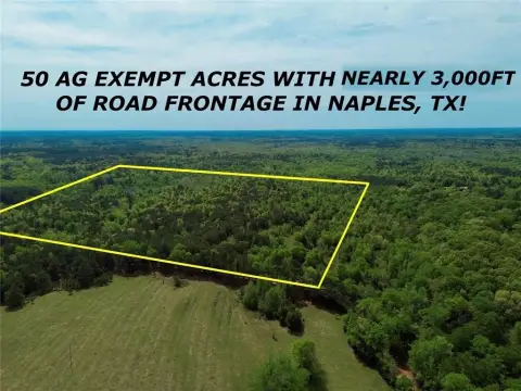 50 Acres of Unrestricted Land